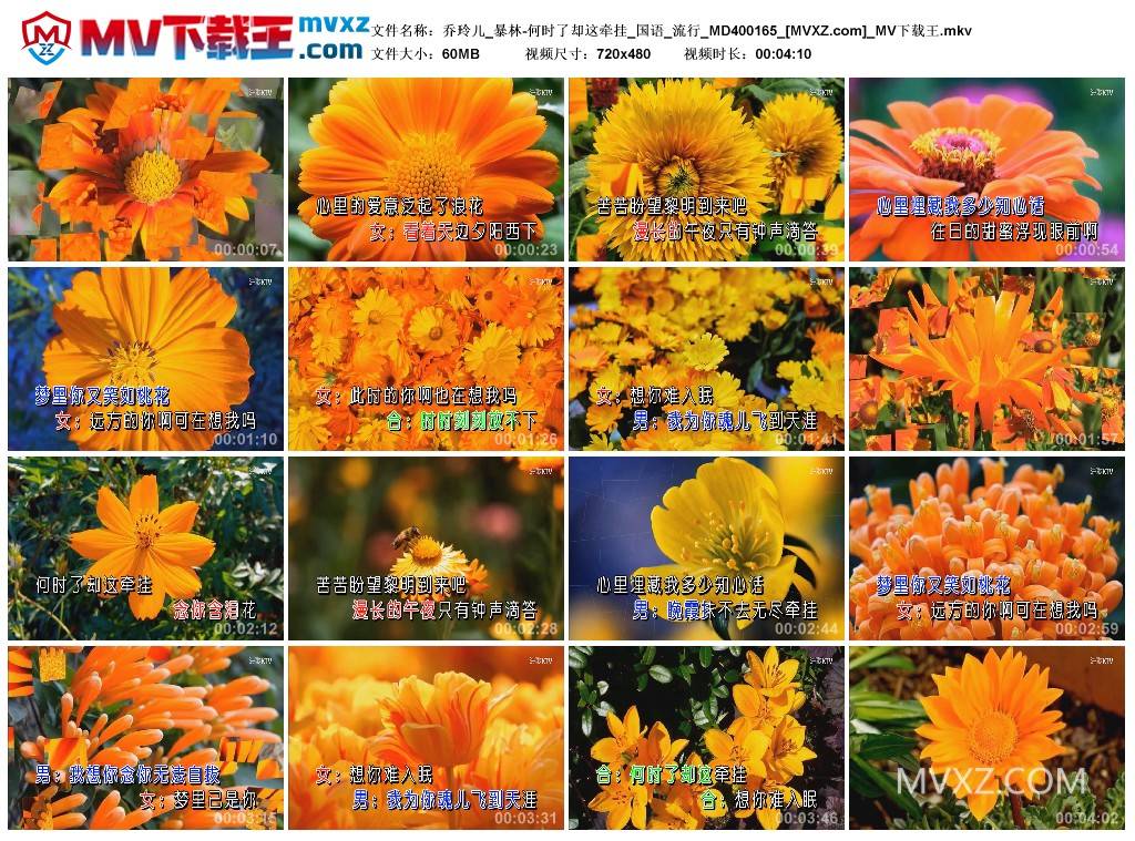 乔玲儿_暴林-何时了却这牵挂_国语_流行_MD400165